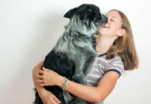 Ovako psi pokazuju da vas vole