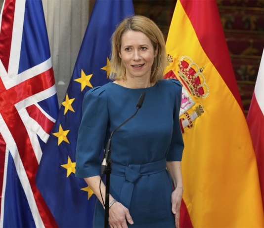 Kalas: Grenland je stub nove strategije EU