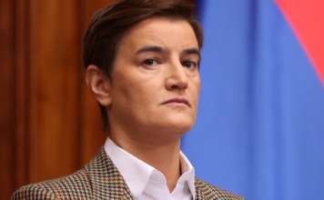 Brnabić: Vučić upoznat sa sporazumima o NIS-u