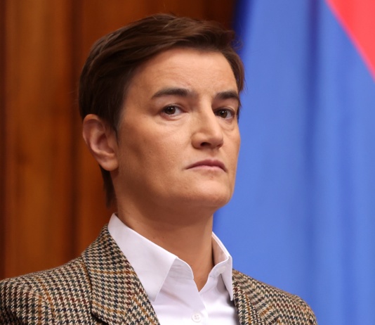 Brnabić: Vučić upoznat sa sporazumima o NIS-u