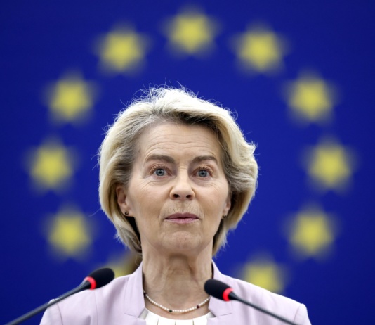 Fon der Lajen: Ukrajina neće biti sama ove zime