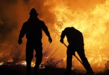 Vatra progutala minimum 44 života