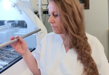 Plemenitost leči svet