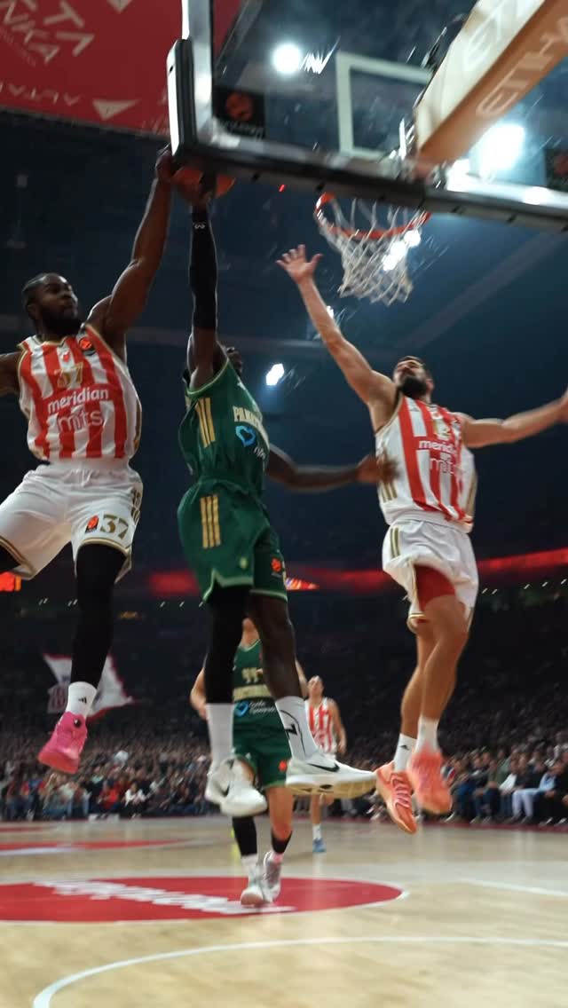 Crvena zvezda - Panatinaikos