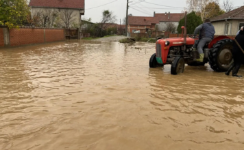 Poplave paralisale jug Srbije