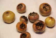 Pet prednosti “zaboravljenog voća”