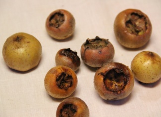 Pet prednosti “zaboravljenog voća”