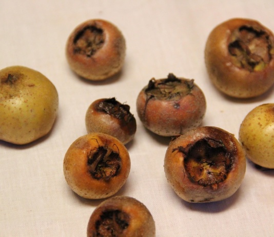 Pet prednosti “zaboravljenog voća”