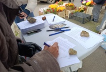 Studenti i građani u akciji