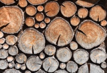 Rusko “blago” krišom stiže u EU