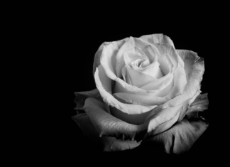 Umrla Senka Veletanlić