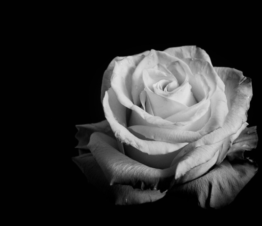 Umrla Senka Veletanlić