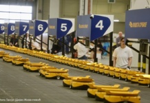 Počela primena automatizacije elektronskih najava u carinjenju