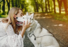 Psihijatar: Odnos prema životinjama je ogledalo karaktera