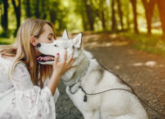 Psihijatar: Odnos prema životinjama je ogledalo karaktera