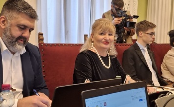 Matić podnela predlog za osnivanje Srpskog kulturnog centra u Beču