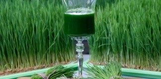 Detoksikacija organizma krajem zime – kako pripremiti telo za proleće