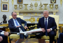 Merc i Tramp na istoj strani