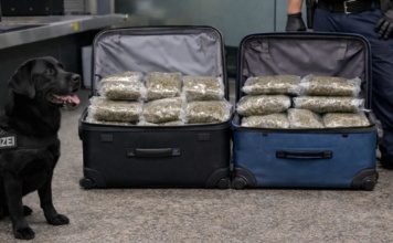 Bečki pas nanjušio 43 kg droge u koferu mladog Bugarina