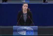 Evropska poslanica iz Slovenije, Joveva, napala Srbiju, a političar Zmago Jelinčič uzvratio