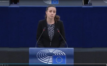 Evropska poslanica iz Slovenije, Joveva, napala Srbiju, a političar Zmago Jelinčič uzvratio