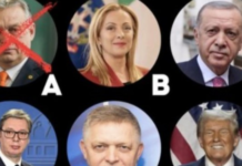 JEZIVO: Evropske „demokrate“ objavile listu za odstrel na kojoj je i predsednik Vučić