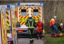 Tragedija u Nemačkoj: Drvo palo i usmrtilo majku, bebu i devojčicu