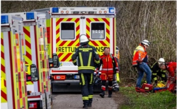 Tragedija u Nemačkoj: Drvo palo i usmrtilo majku, bebu i devojčicu